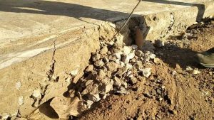 IMG 20250107 10541295