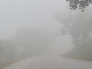 मोंथा चक्रवात का असर अब भी जारी, मौसम विभाग ने फिर दी चेतावनी – कई जिलों में बारिश और वज्रपात का अलर्ट,जशपुर से आई तस्वीरें देखिए 2 IMG 20251031 WA0013